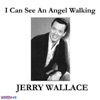 I Can See an Angel Walking