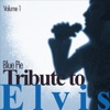 Blue Pie - Tribute to Elvis, Vol. 1