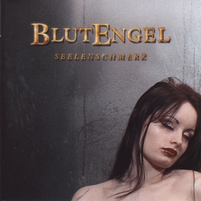 Seelenschmerz - Blutengel