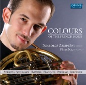 Colours of the French Horn artwork