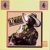 The Best of Taj Mahal, Vol. 1 artwork