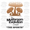 Mushroom Evolution Concert, 2009