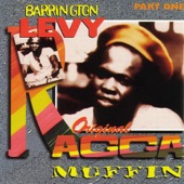 Barrington Levy - Black Roses