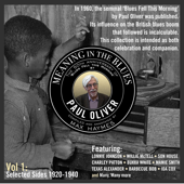Meaning In The Blues Volume One - Verschillende artiesten