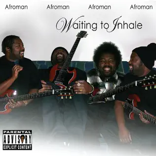 baixar álbum Afroman - Waiting To Inhale