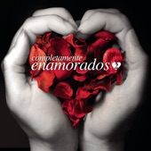 Completamente Enamorados 2 artwork