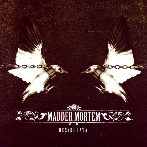 Cover artwork for Cold Stone