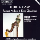 Flute and Harp Music artwork
