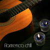 Flamenco Chill - Flamenco Guitar and Flamenco Music, Spanish Guitar, Background Music and Chill Out Lounge Music for Relaxation - Flamenco World Music