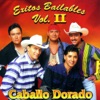 Caballo Dorado: Éxitos Bailables, Vol. 2, 2000