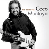 The Essential Coco Montoya artwork