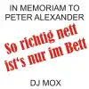 Stream & download In Memoriam to Peter Alexander: So richtig nett ist's nur im Bett - Single