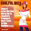 Soulful Ibiza 2011 (presented by Terry Lex)