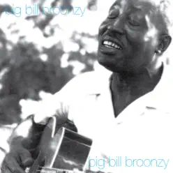 Big Bill Broonzy - Big Bill Broonzy