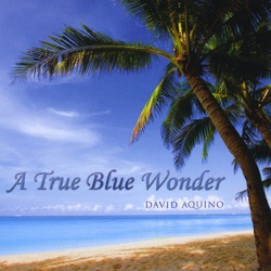 David Aquino - Endless Summer Delight