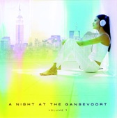 A Night at the Gansevoort Volume 1