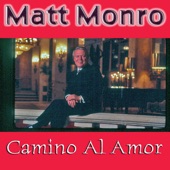 Camino Al Amor artwork