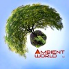 Ambient World 1.0, 2012