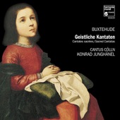 Buxtehude: Sacred Cantatas artwork