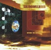 Salmonella Dub - Push On Thru (Adrian Sherwood Version)