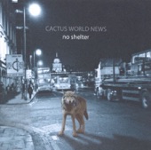 Cactus World News - On the Run