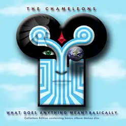 What Does Anything Mean? Basically (2009 Remaster) - The Chameleons