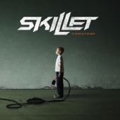 Skillet - Falling Inside The Black