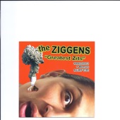 The Ziggens - Outside