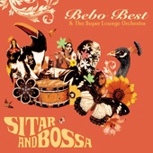 Sitar and Bossa artwork