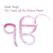 The Touch of the Divine Heart artwork