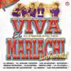Viva el Mariachi Vol. 9 Instrumental album lyrics, reviews, download