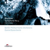 Bruckner: Symphony No. 5 artwork