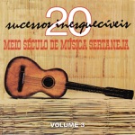 O Menino e o Boiadeiro