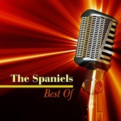 The Spaniels - I Lost You