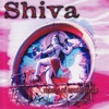 Shiva Music of South India
