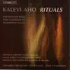 Aho, K.: Kysymysten Kirja - Viola Concerto - Symphony No. 14, "Rituaaleja" (Rituals) album lyrics, reviews, download