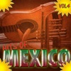 Hits Of Mexico Vol 4, 2011