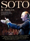 Jose Manuel Soto - Cuando Vuelva a Sevílla