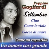 Un amore grande artwork