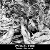 Wings on Fire artwork