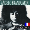 Best Of (French Version), 2011
