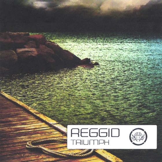 Cover artwork for See the Light (feat. Platinum Dragon17)