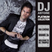 Platinum Collection DJ-Mix (Continuous DJ-Mix) artwork