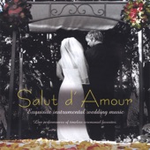 Salut D' Amour artwork