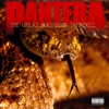 Pantera - Living Through Me (Hell's Wrath)