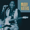 King of the Electric Blues - Muddy Waters