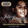 Julio Jaramillo - La Mano de Dios