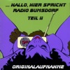 Radio Bumsdorf - Frieda (Country Rock Heaven)