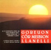Goreuon Côr Meibion Llanelli - Llanelli Male Choir's 20 Best Welsh Tracks