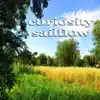 Curiosity Sailflow (Inspiring House Music) - Single album lyrics, reviews, download